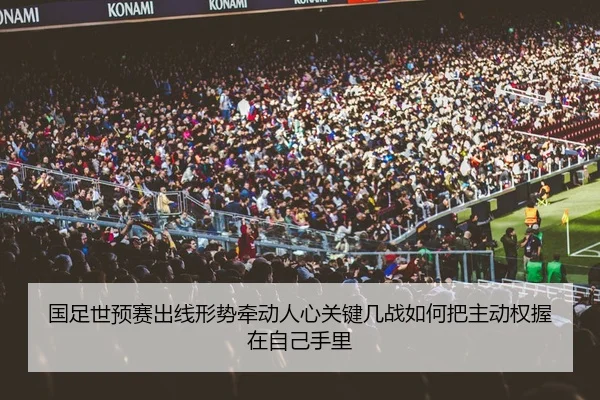 img_1780418411416_41_2_778.jpg